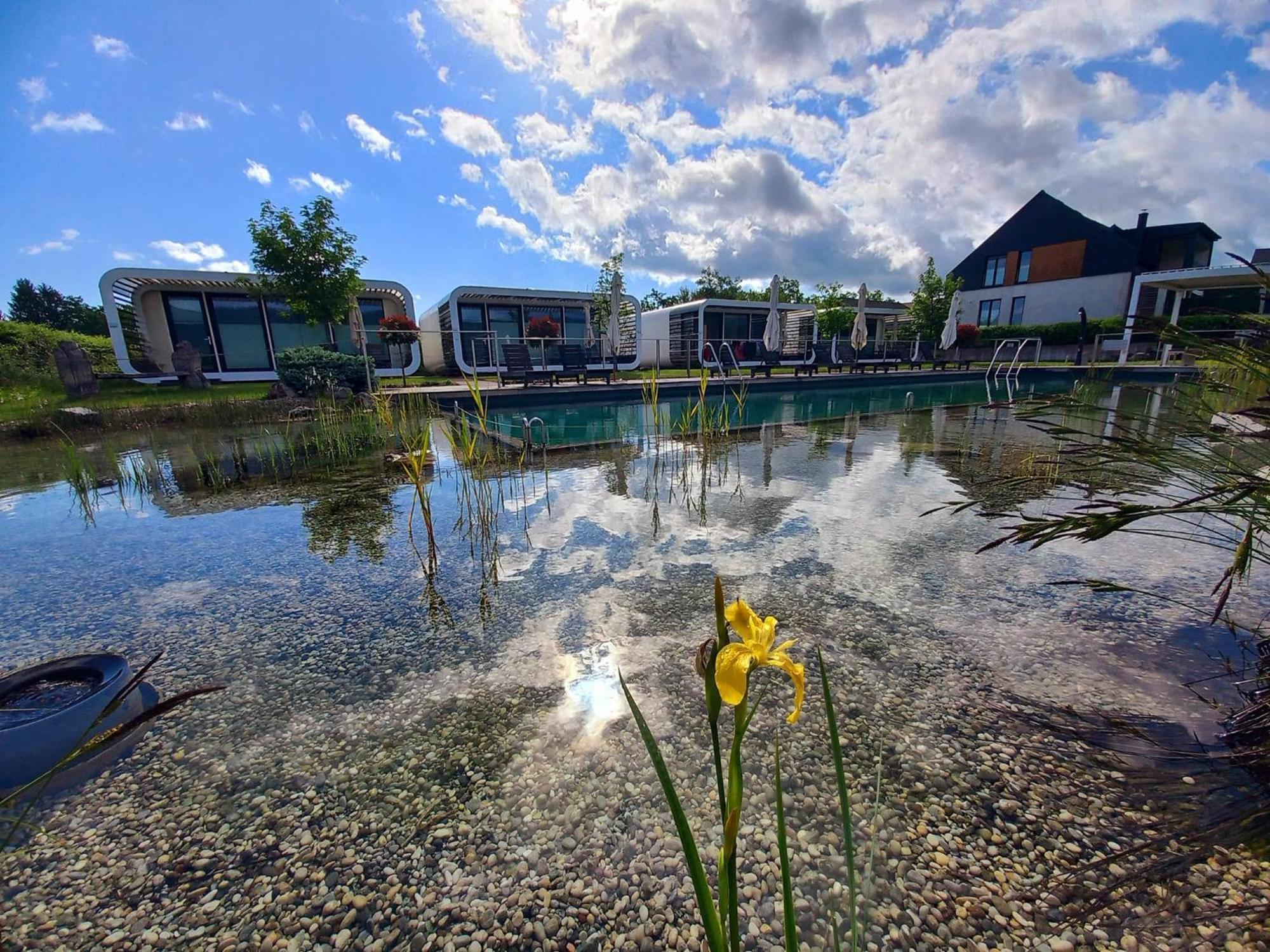Glamping Maleric With Natural Pool Dragatuš Exterior foto